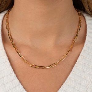 Adina Eden Large Paperclip Link Necklace NWT